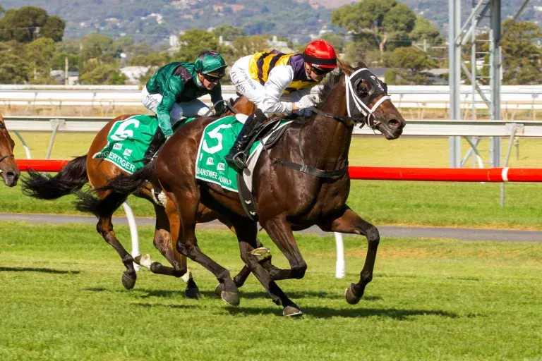 Sweet Adelaide Cup victory for Kiwi-bred