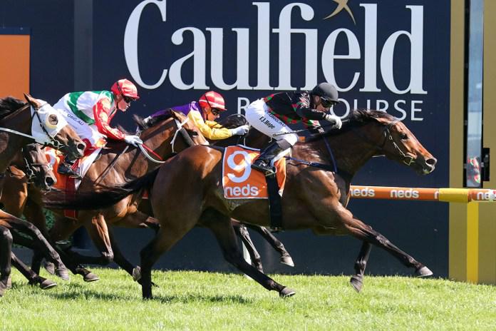 Mornington Cup the next step for Defibrillate