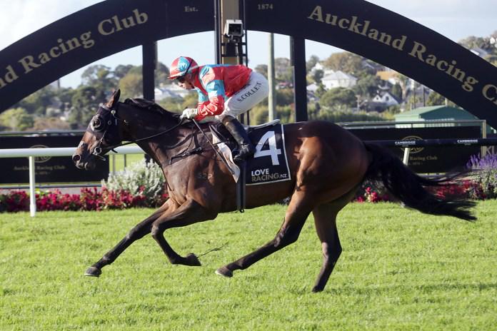 Tiley takes stakes double at Ellerslie