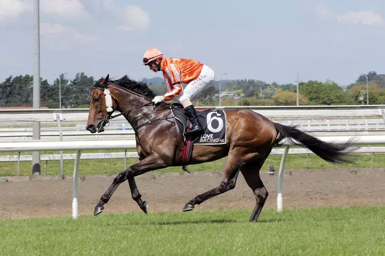 Pukekohe feature a possibility for Desert Lightning
