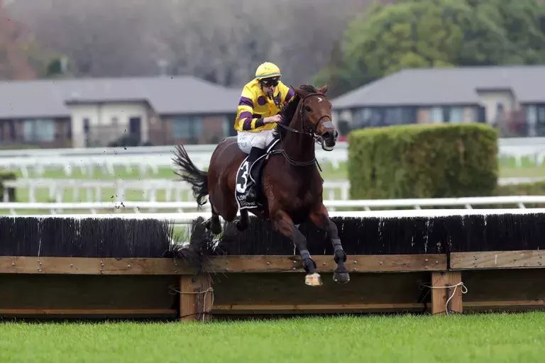 The Doctor delivers in Waikato Hurdle