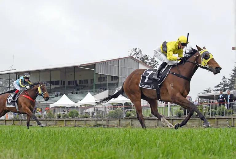 Dusty Road a dream horse for Cameron