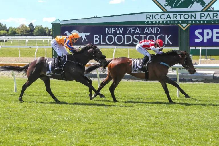 Eulogy Show aiming for New Zealand Cup