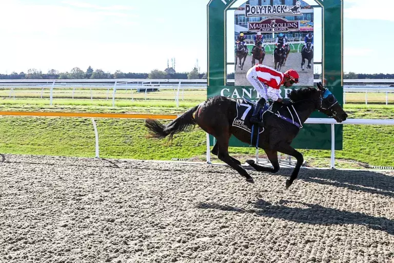 Maiden puts on a show in polytrack debut