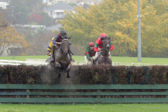 McNeill takes feature jumping double at Ellerslie