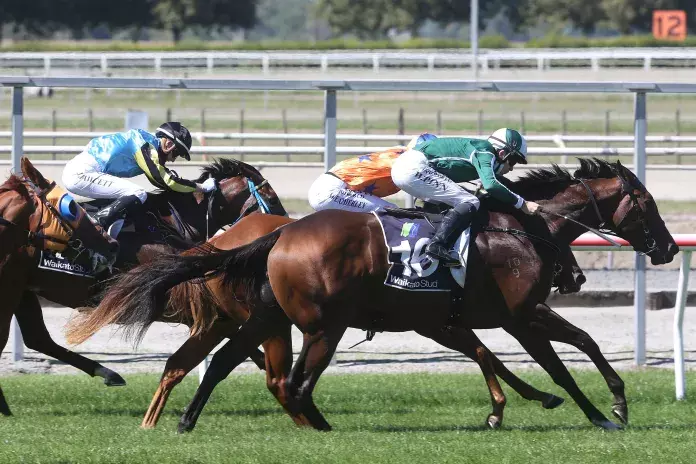Enraptured pleases in Te Rapa hit-out