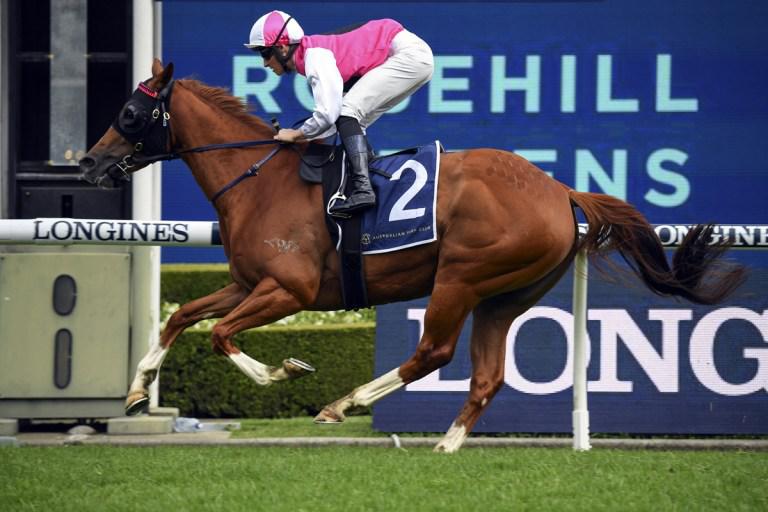 Exciting filly chasing hat-trick of wins at Randwick