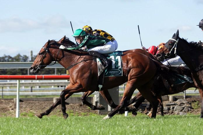 Promising filly opens her account at Pukekohe