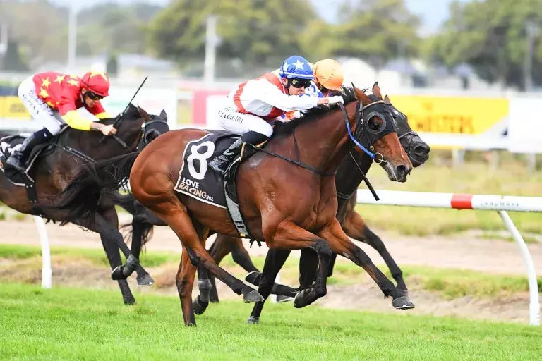 Germanicus set to bounce back at Te Rapa