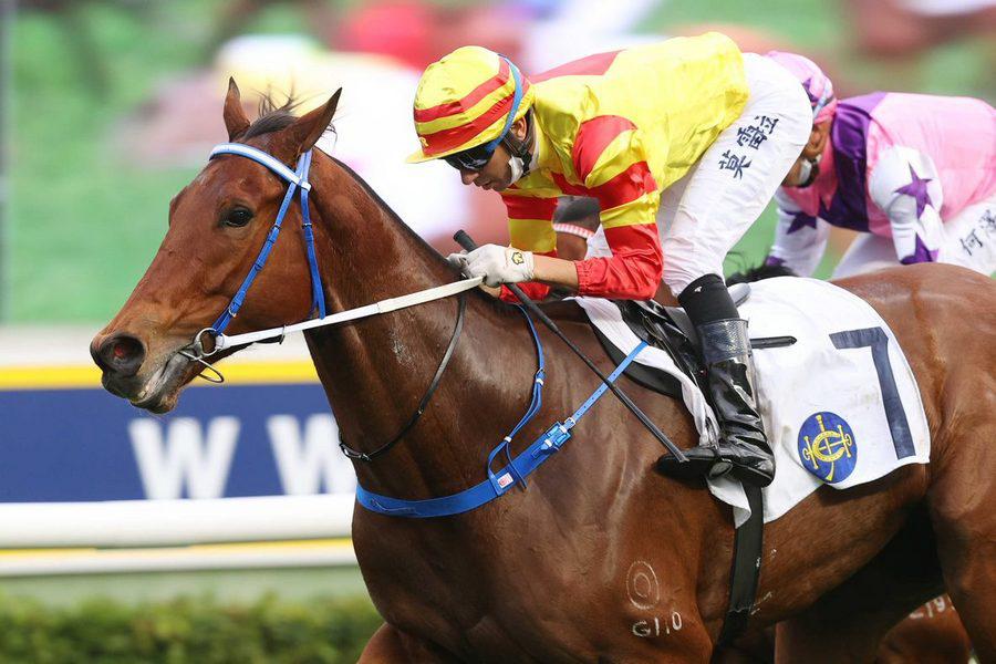 Galaxy Witness, Flying Ace remain unbeaten as talent continues to rise at Sha Tin