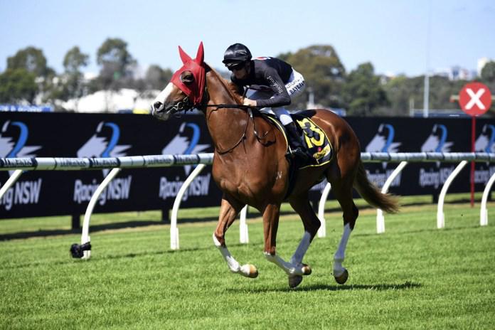 Sargent hoping to toast Group One success at Randwick