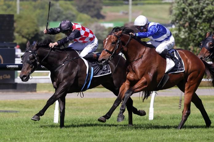 Late burst secures Ellerslie feature for Gino Severini