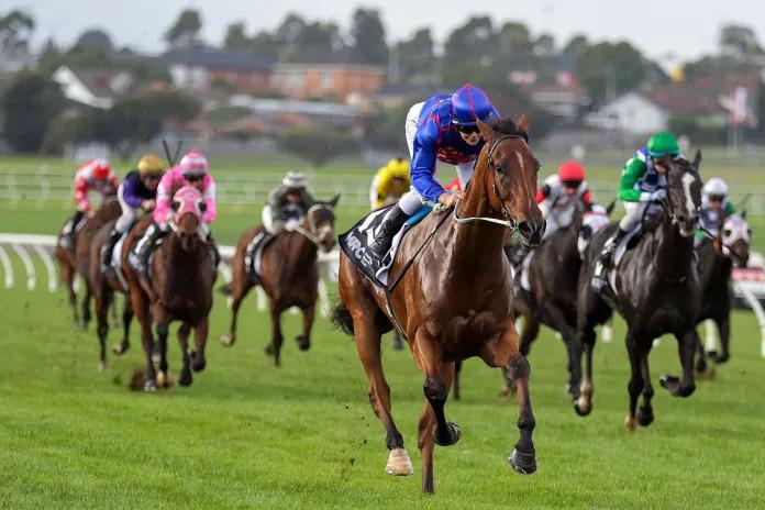 Unbeaten Globe to be aimed at Cox Plate