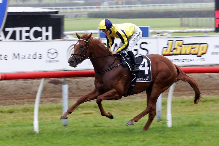 Talented filly triumphs at Tauranga