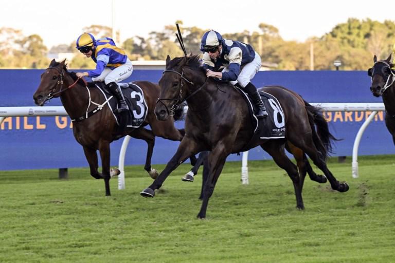 Gringotts continues rise with Rosehill win