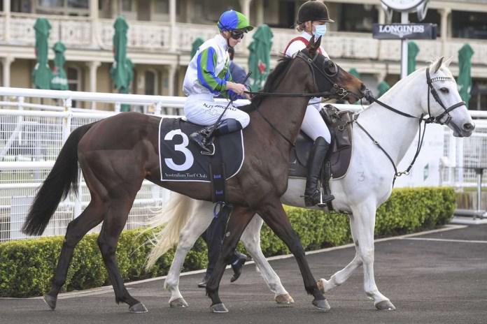 Kiwi-bred mare ready for Golden opportunity