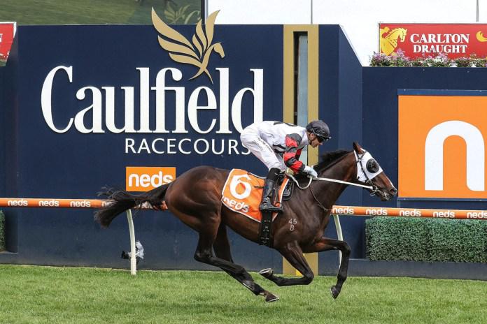 Gunstock stakes Derby claims at Caulfield