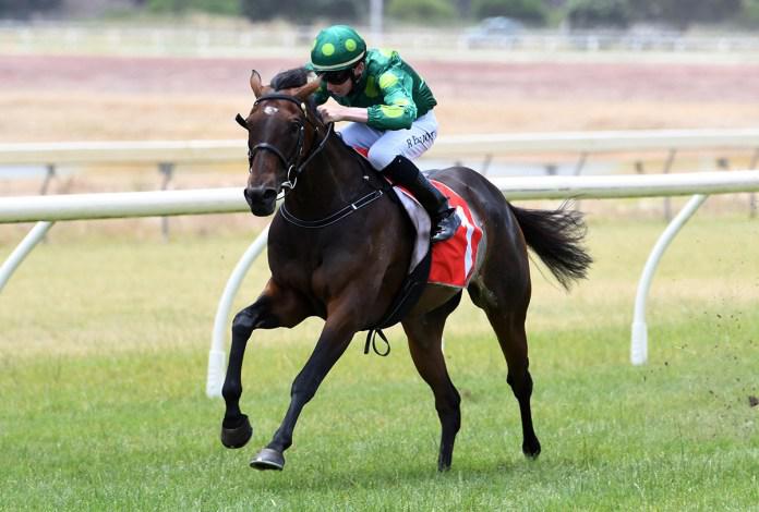 Lock excited to relaunch stable star's career