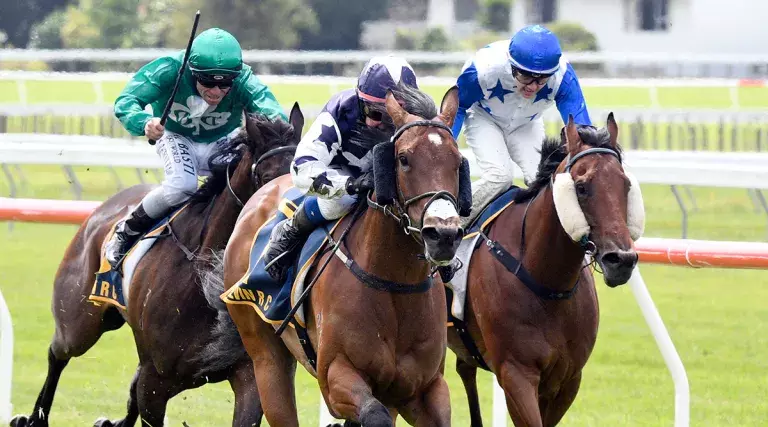 Hold The Press upsets in Levin Stakes