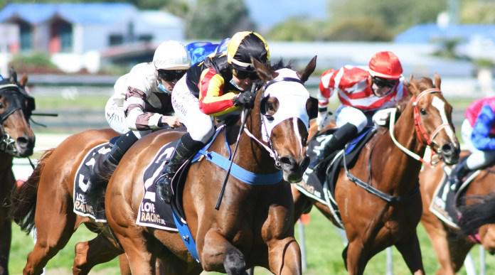 Cream rises to the top in Feilding Cup