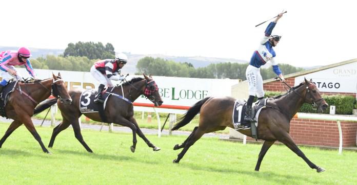 Group One tilt for Hasabro