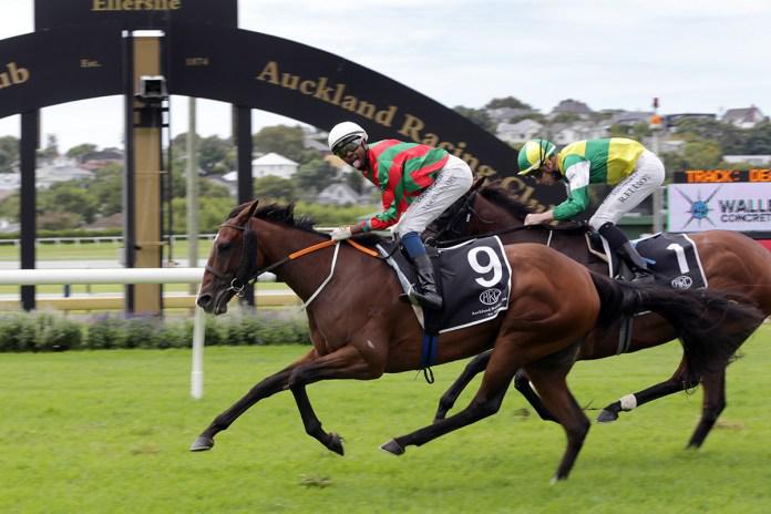 Hinepara upsets in Avondale Cup