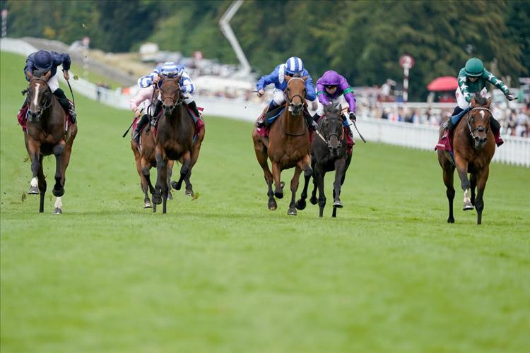 Preview - Yorkshire Oaks