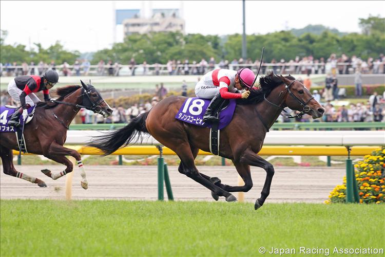 NHK Mile Cup (G1) Race Preview : Tokyo - Sunday, 7th May 2023