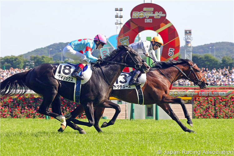 Tokyo Yushun (Japanese Derby) (G1) Race Preview : Tokyo - Sunday, 28th May 2023