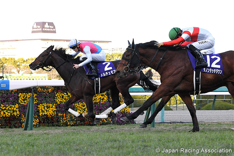 Asahi Hai Futurity Stakes (G1) Race Preview: Hanshin - Sunday, 17th December 2023