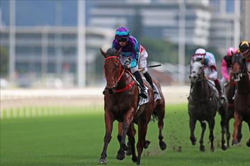Vincent Ho resumes with high hopes for Dream Winner