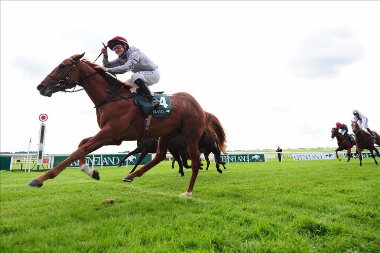 Preview: Phoenix Stakes