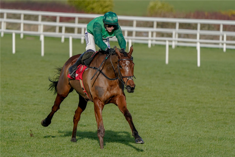 El Fabiolo set to face seven rivals in Wednesdays Champion Chase