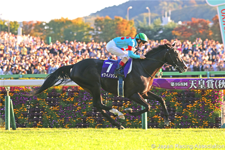 Japan's Equinox is named world's best racehorse of 2023