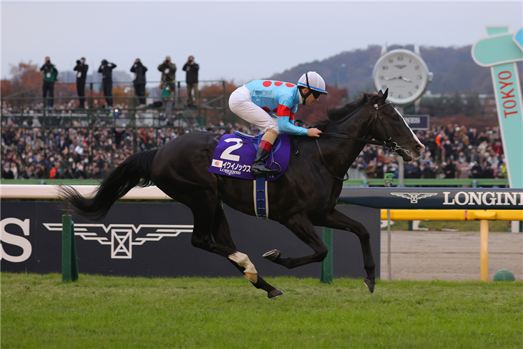 Japan Cup tops list as worlds highest-rated race for 2023