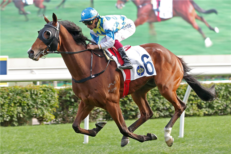 Pierre Ng aims for stars with exciting FWD Champions Day plans