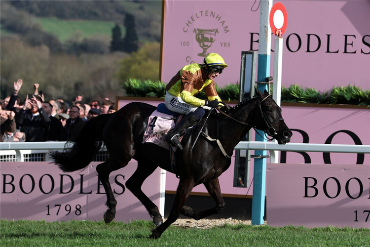 Galopin Des Champs retains Gold Cup crown
