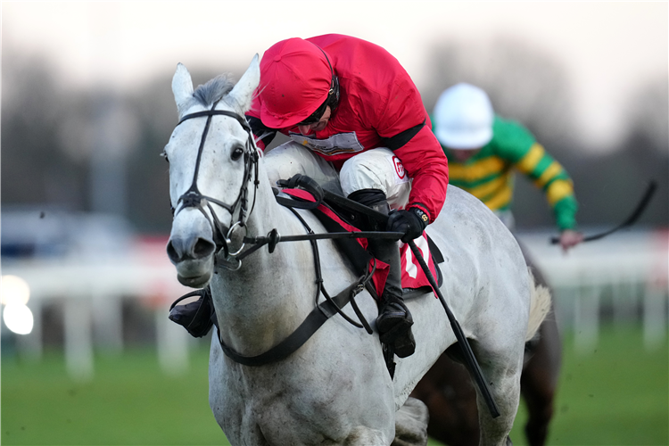 Hes very exciting - Grey Dawning rises to Hampton success