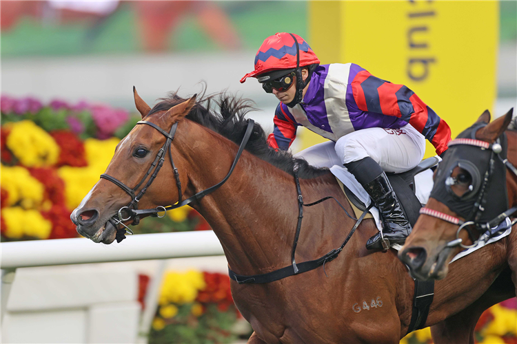 Davis Files: Race Review of Sha Tin - 10th March 2024
