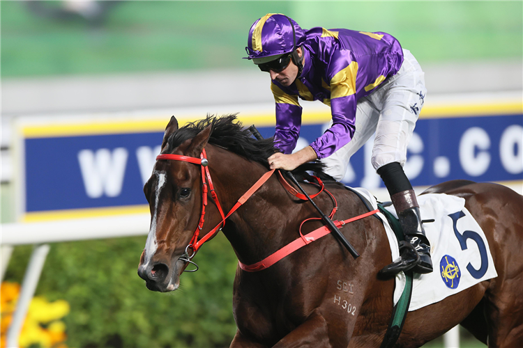 Racing manners crucial to Helios Express Hong Kong Classic Cup aspirations