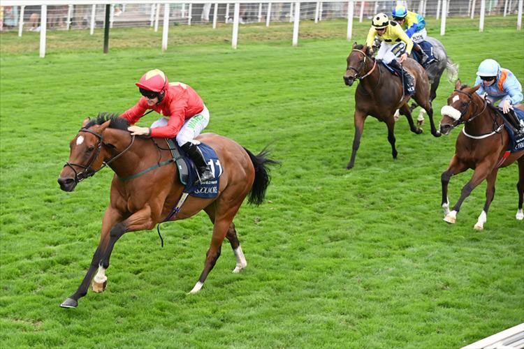 Preview: Nunthorpe Stakes