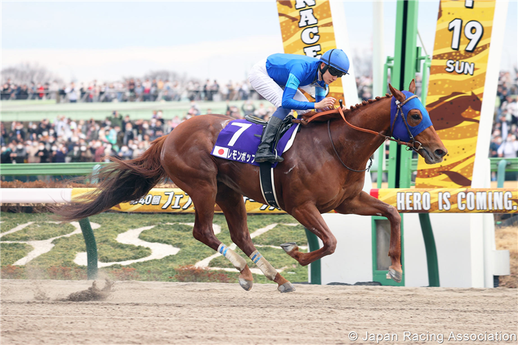 February Stakes (G1) Race Preview: Tokyo - Sunday, 18th February 2024