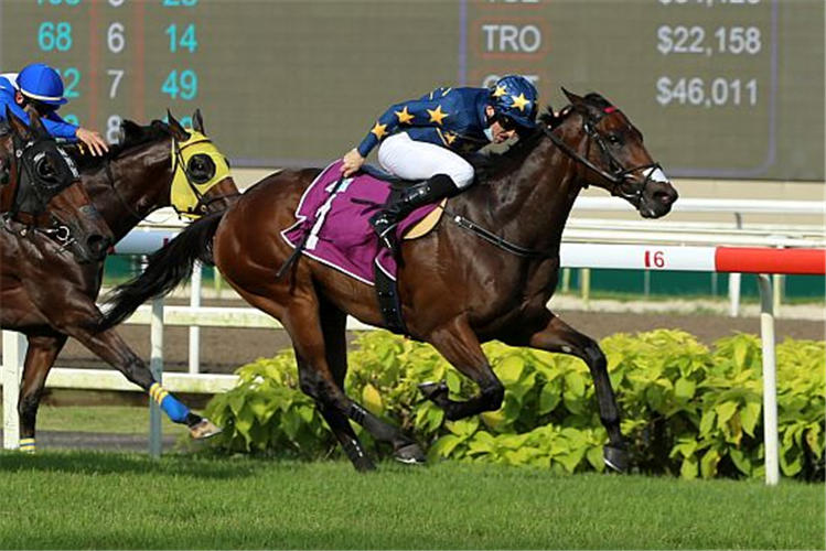 Meagher to scale new heights with Lims Kosciuszko in Saturdays Kranji Mile