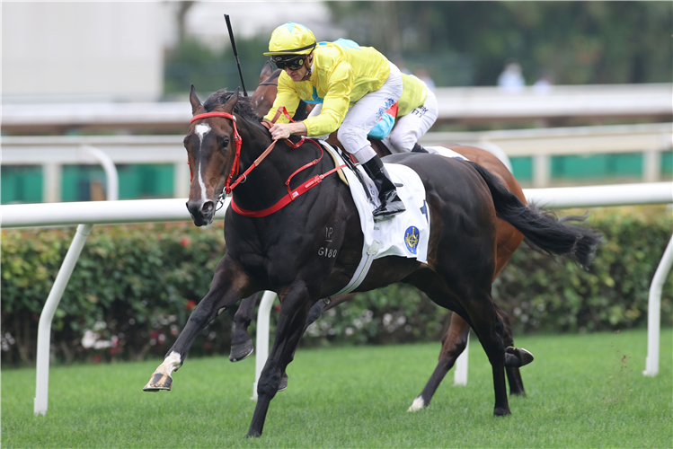G3 Sha Tin Vase Handicap weight challenge for Lucky Sweynesse