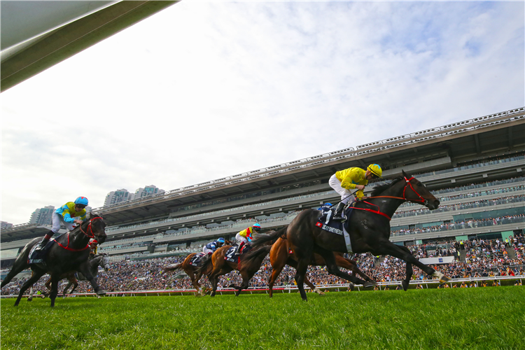 Sha Tin tips article for the race meeting on 3rd March 2024