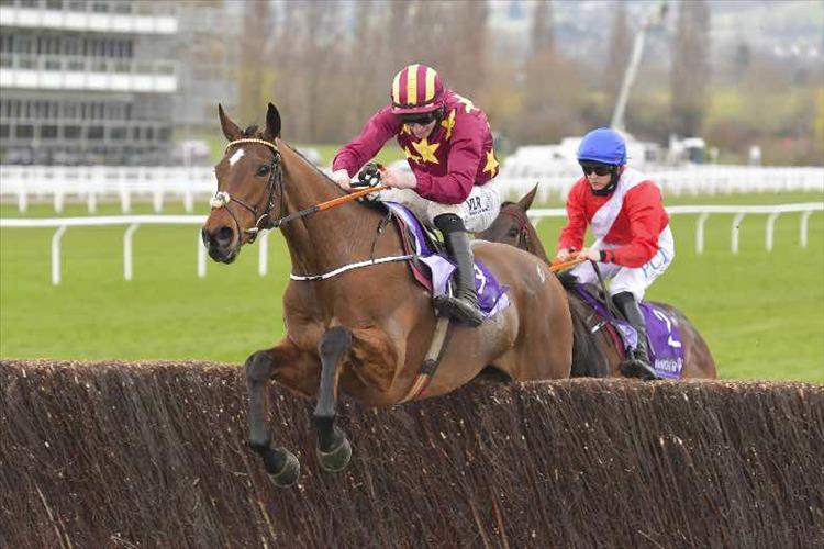 Minella Indo makes winning reappearance at Punchestown