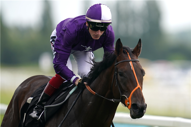 Plenty of possibilities in a wide-open Derby Stakes at Epsom