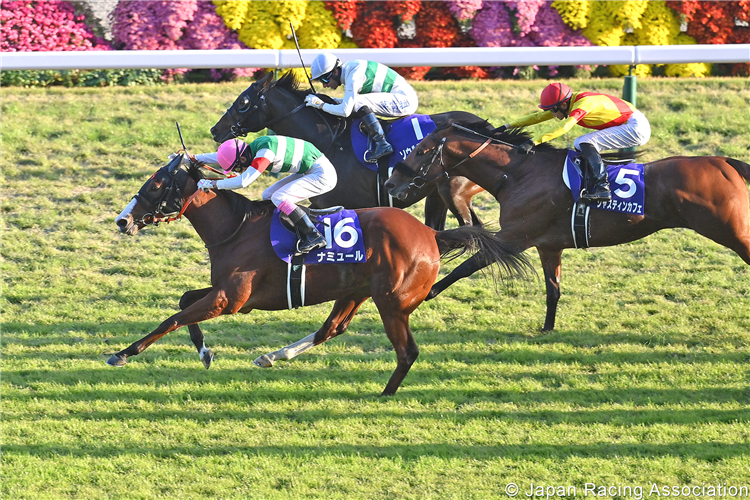 Namur Captures First G1 against Male Foes in Mile Championship