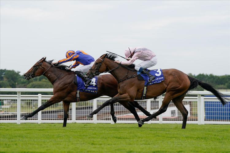 Paddington faces five in Sussex Stakes