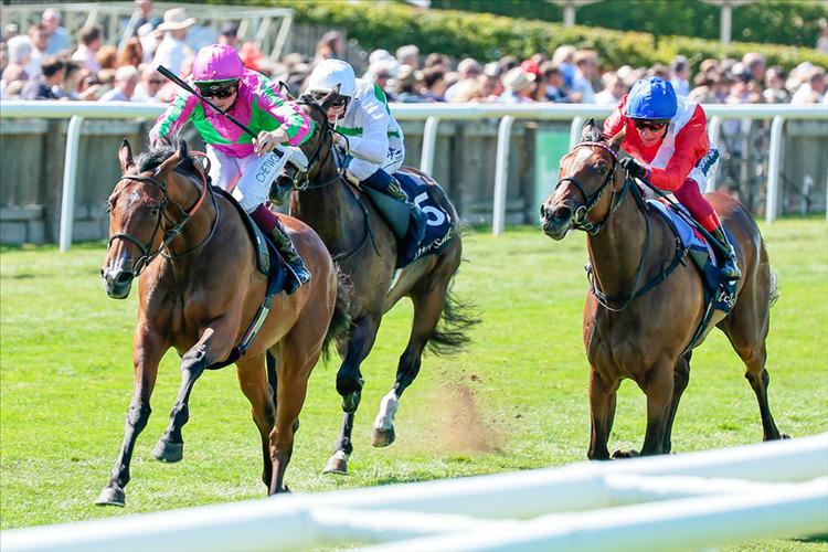 Preview: Falmouth Stakes